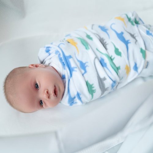 4532 5 micro fleece sleepsack swaddle dinos