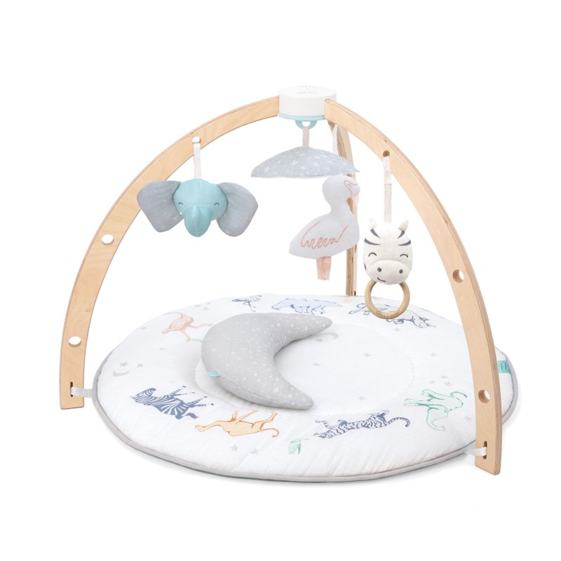 AAGM10001 1 baby playtime activity gym 2feb9a9d 11e4 48cf 8e67 76f3c6e75766