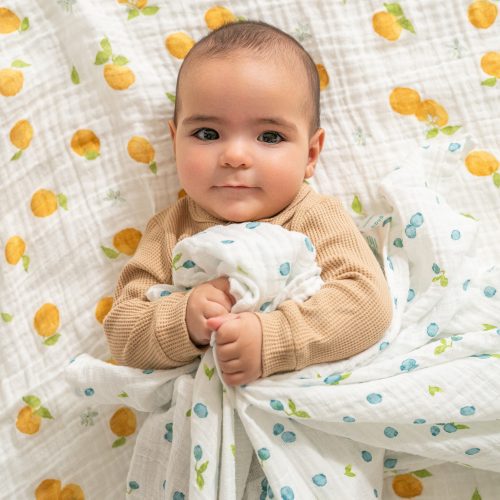 ASWO20010 Aden Fresh Fruit 2 pack swaddle 2 5ae75e17 b19d 4133 ae00 881afb29019c