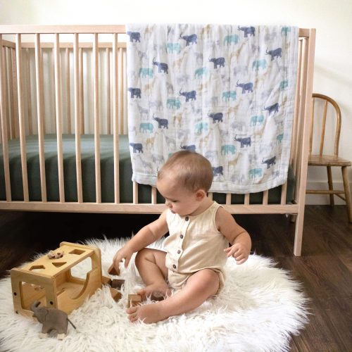 Cotton muslin silky soft baby dream blanket expedition 4