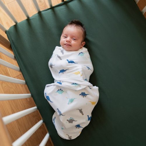 ewsk30005 aden wrap swaddle 3pk dino rama 17